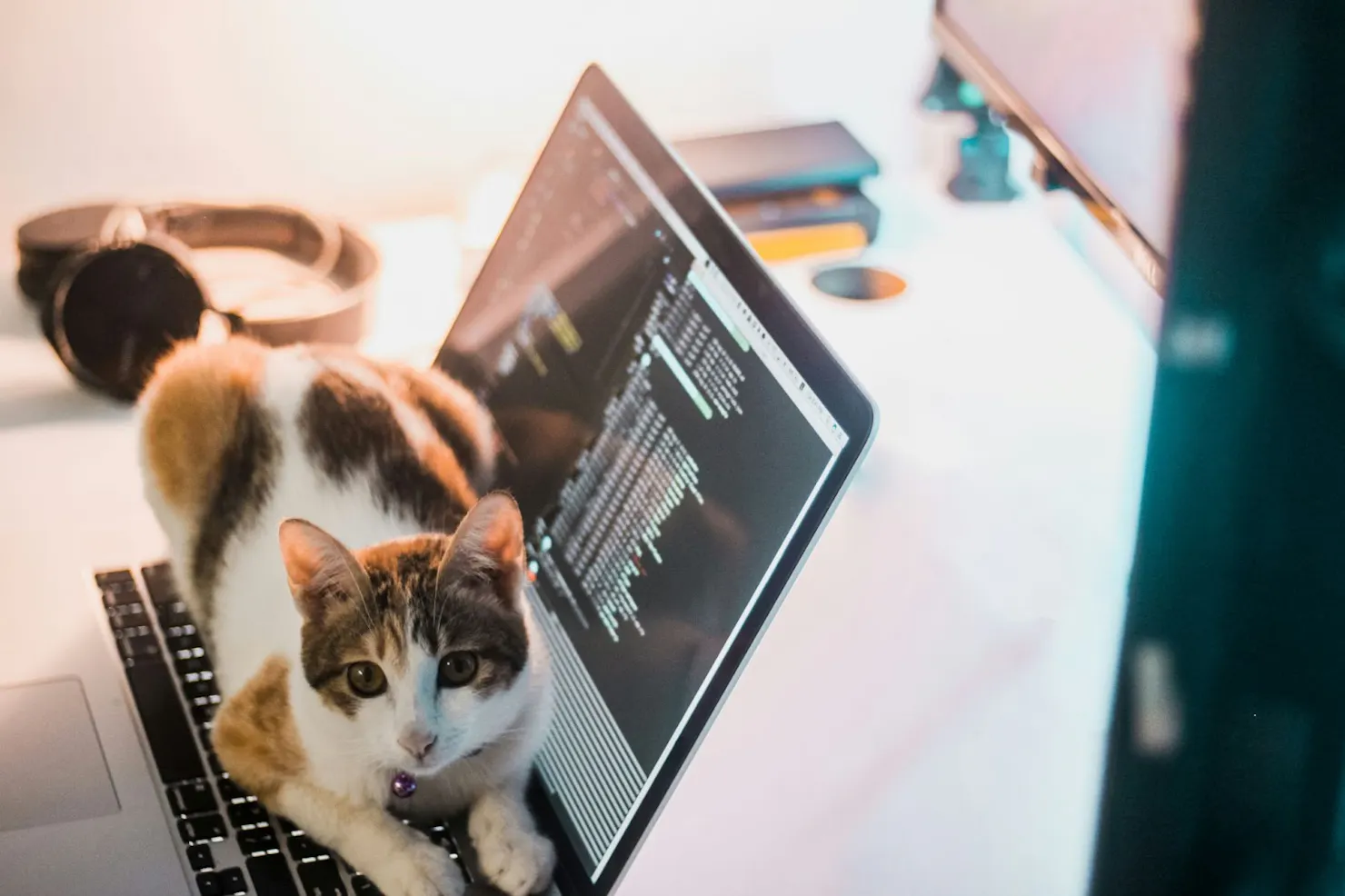 Calico cat lying on a laptop keyboard in front of a screen full of code