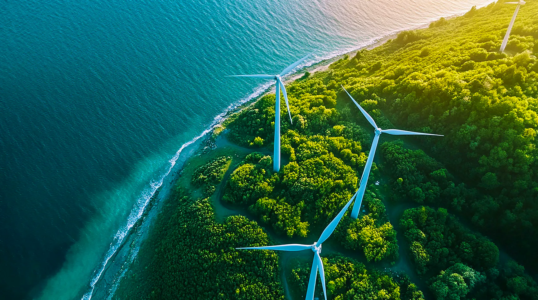Aerial view of wind turbines on a forested coastline beside the sea